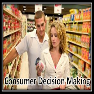 Customer Decision Making 