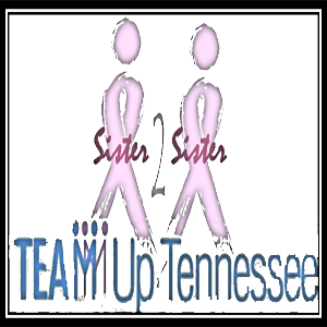 Sister 2 Sister Team up tennessee